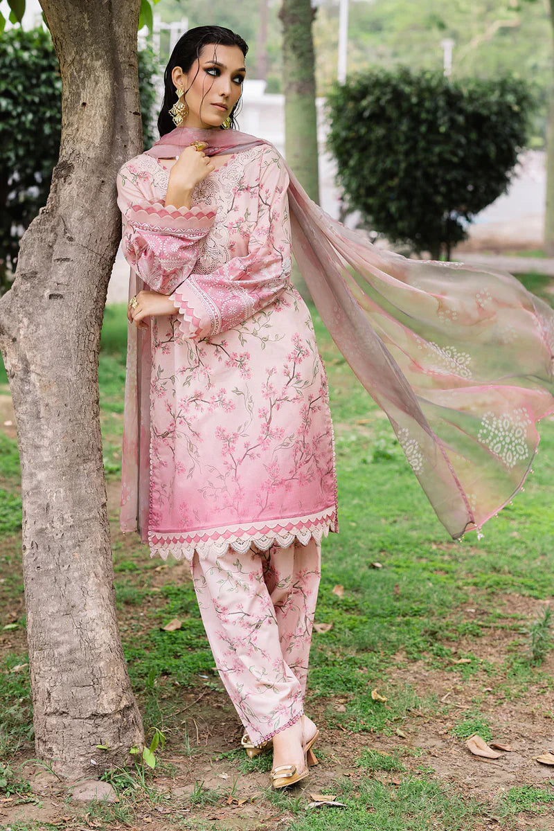 Nureh | Daily Delights | DD-01