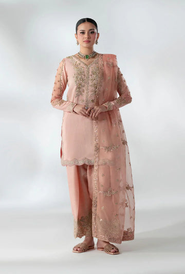 AJR Couture | AJR Luxe Pret'25 | Ankara Allure - House Of Hania
