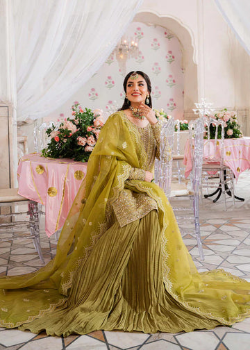 Akbar Aslam_MEHARZAD - House Of Hania