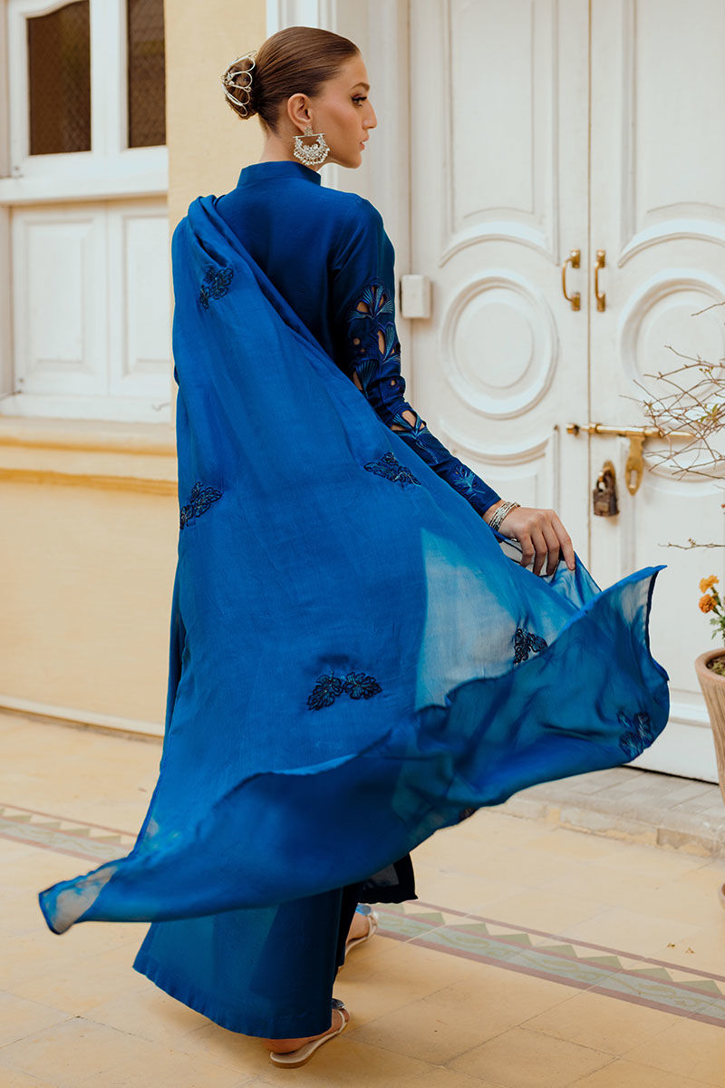 Ansab Jahangir | Luxe Pret Eid 24 | INARA - House Of Hania