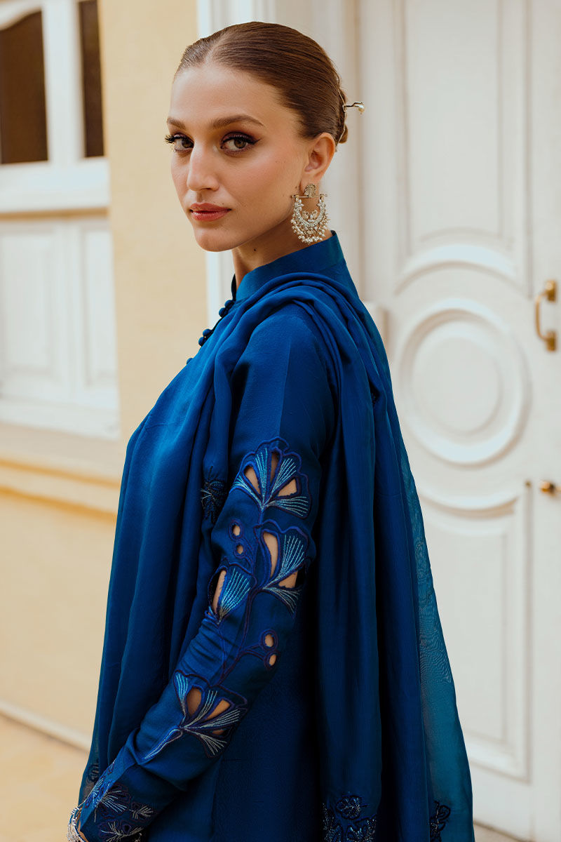 Ansab Jahangir | Luxe Pret Eid 24 | INARA - House Of Hania