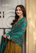 Asim Jofa | Pashmina Shawl 24 | AJKI-04 - House Of Hania