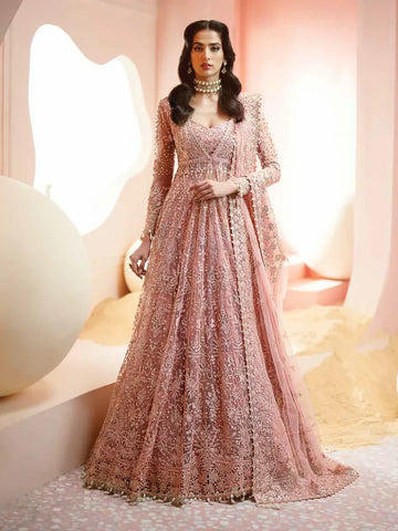 Ayzel Luminara Embroidered Net 3Pc Suit AWF-05 EARL - House Of Hania