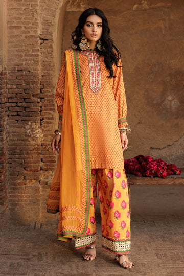 Charizma | Festive Pret | CNP-5-40A - House Of Hania