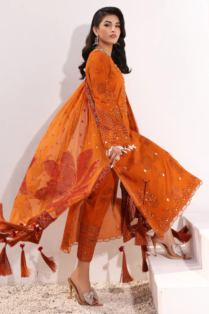 Charizma | Signature Festive 24 | ED-05 - House Of Hania