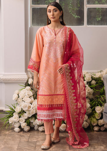 Daud Abbas | Formals Collection | Mehrma - House Of Hania