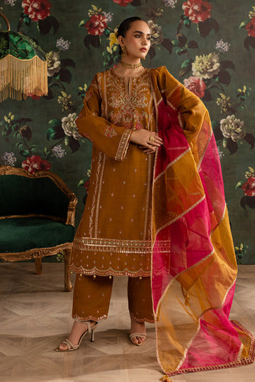 Emaan Adeel | Rangrez Collection | ARZOO - House Of Hania