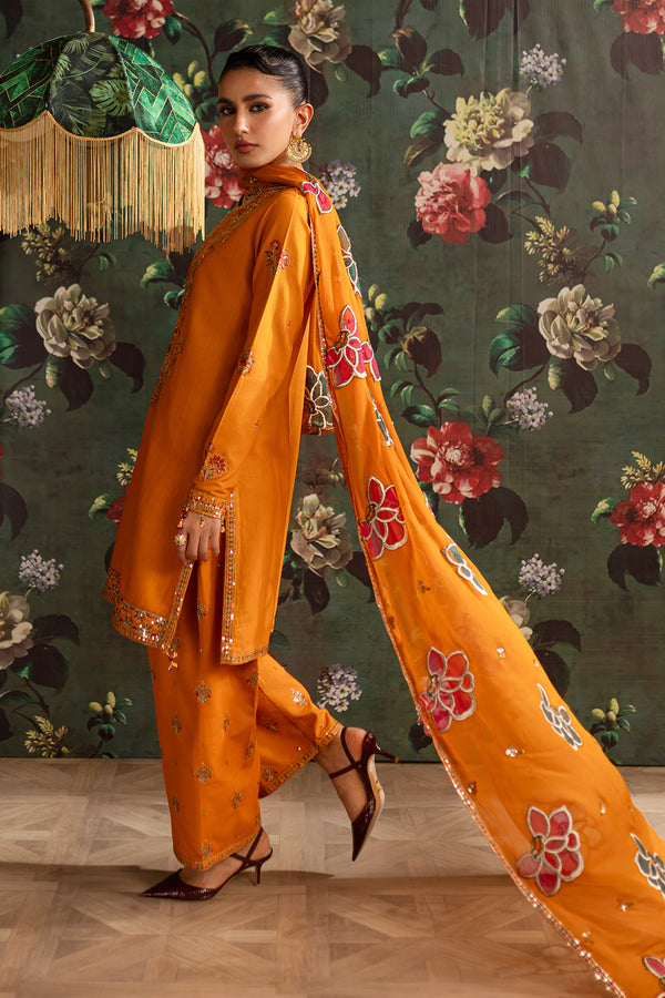 Emaan Adeel | Rangrez Collection | SHAMA - House Of Hania