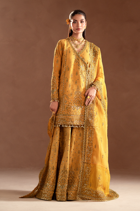 Emaan Adeel | Selene Formals | VELORIA - House Of Hania