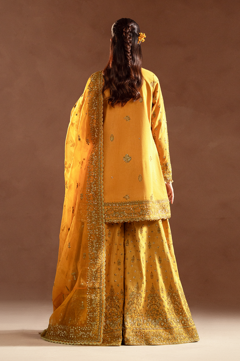 Emaan Adeel | Selene Formals | VELORIA - House Of Hania