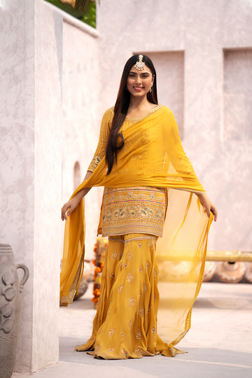 Erum Khan | Sakhiyan Formals | GENDA - House Of Hania