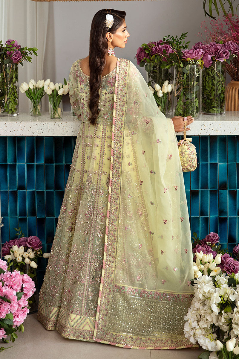 Gulaal | Emalyn Luxury Formals | NOURA - House Of Hania