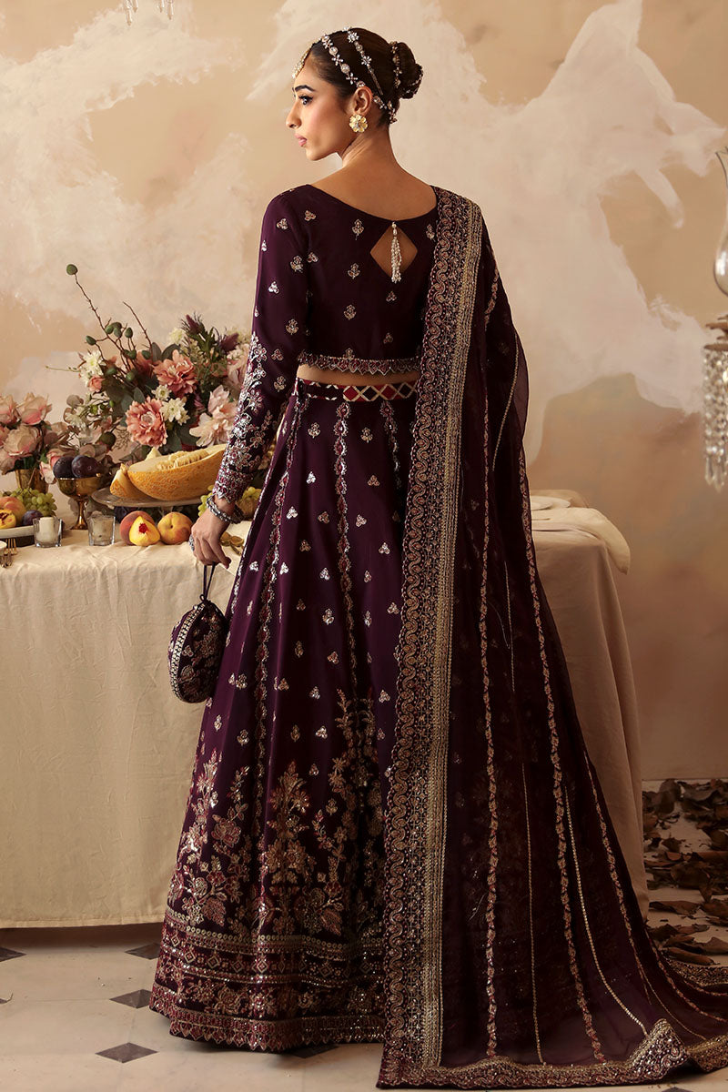 Gulaal | Shehrnaaz Raw Silk | Jahaan - House Of Hania