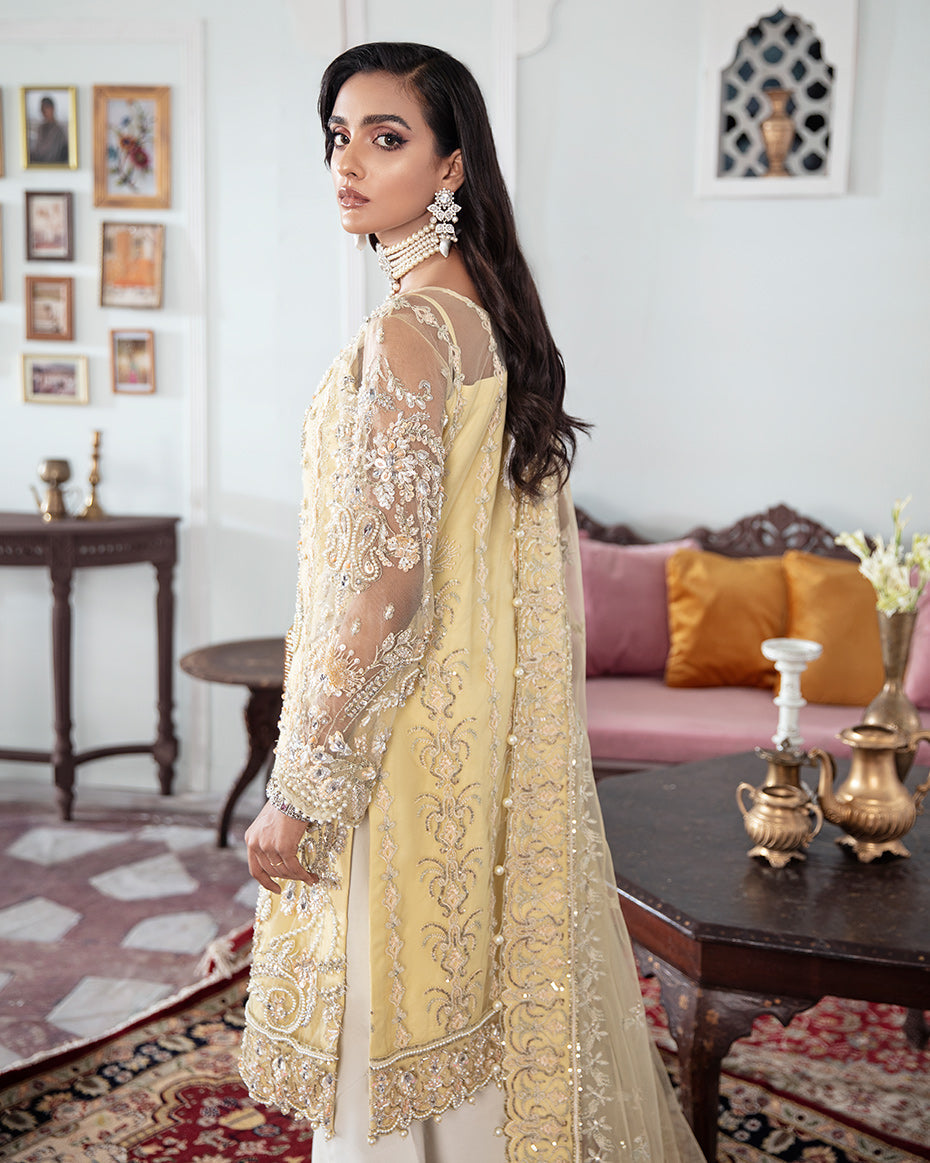 Gulaal | Wedding Formals | MAHJABEEN EMBROIDERED NET 3-PIECE SUIT WS-17 - House Of Hania
