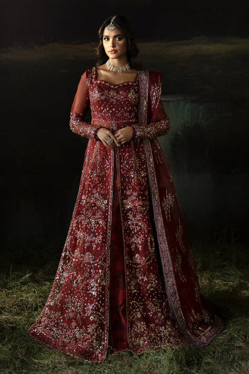Hayat by Afrozeh Embroidered Organza 3Pc Suit AFH-24-02 ANAYA - House Of Hania