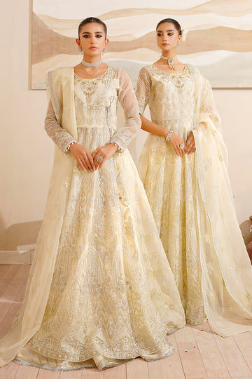 Maryams | Hayat Wedding Formal | ZIBIA - House Of Hania