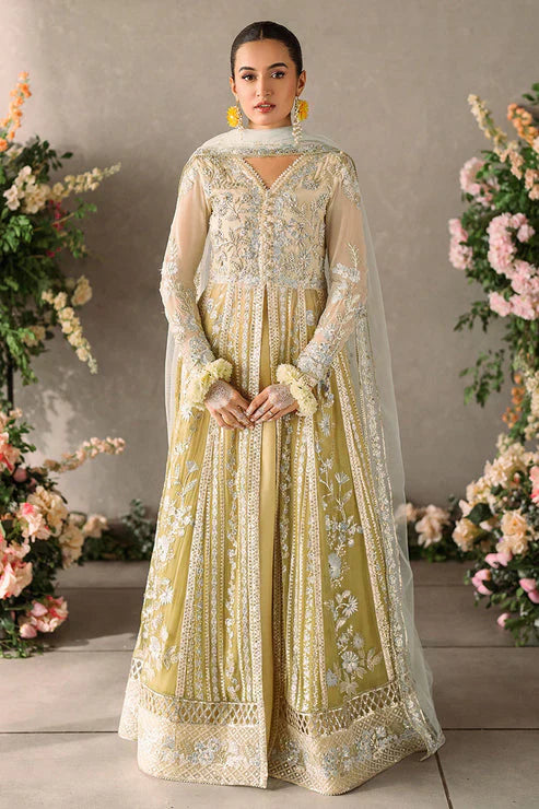 Mushq Mastani Evening Embroidered Chiffon 3Pc Suit MCH-06 HIRA - House Of Hania