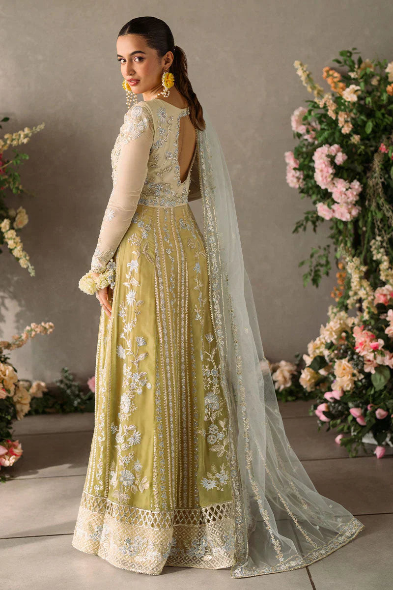 Mushq Mastani Evening Embroidered Chiffon 3Pc Suit MCH-06 HIRA - House Of Hania