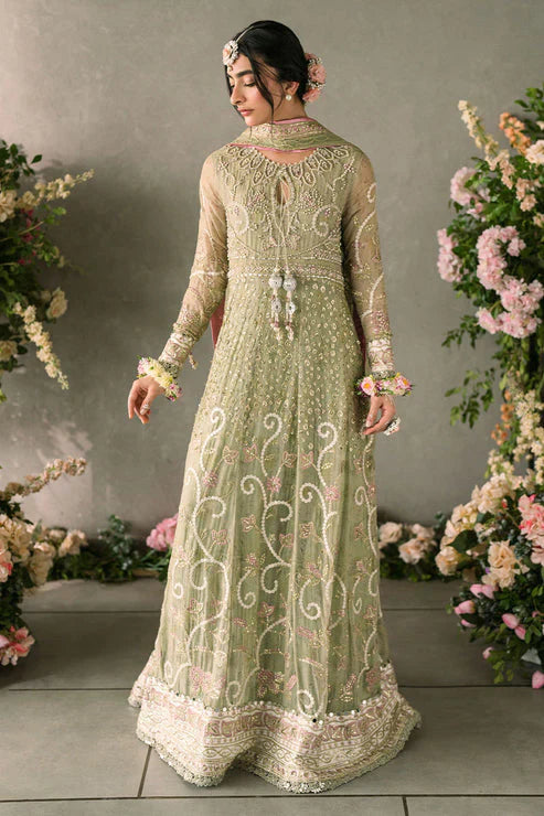 Mushq Mastani Evening Embroidered Chiffon 3Pc Suit MCH-10 NAMAR - House Of Hania