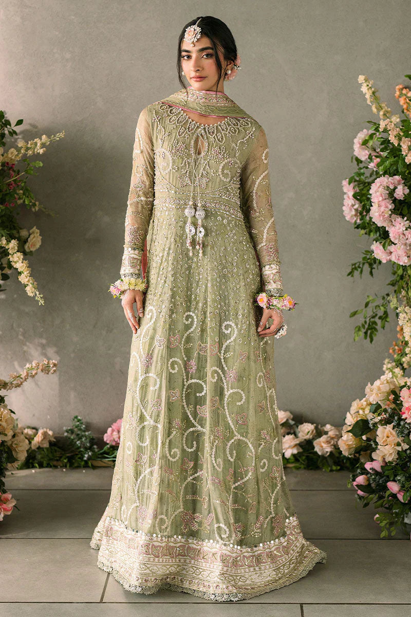 Mushq Mastani Evening Embroidered Chiffon 3Pc Suit MCH-10 NAMAR - House Of Hania