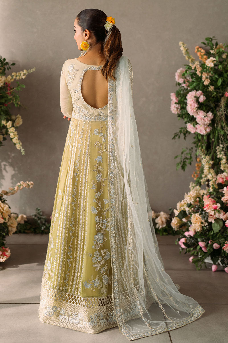 Mushq | Mastani Evening Luxury Chiffon | Hira - House Of Hania