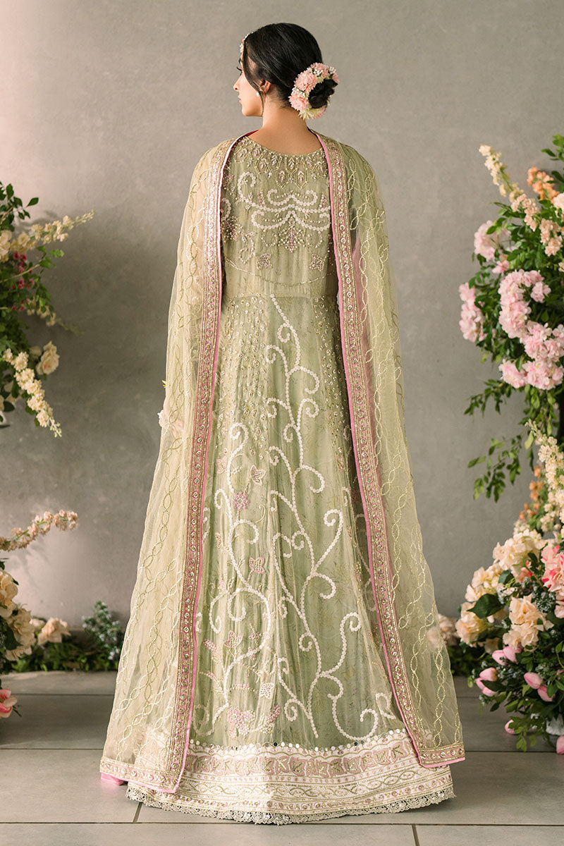 Mushq | Mastani Evening Luxury Chiffon | Namar - House Of Hania