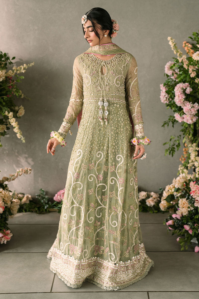 Mushq | Mastani Evening Luxury Chiffon | Namar - House Of Hania