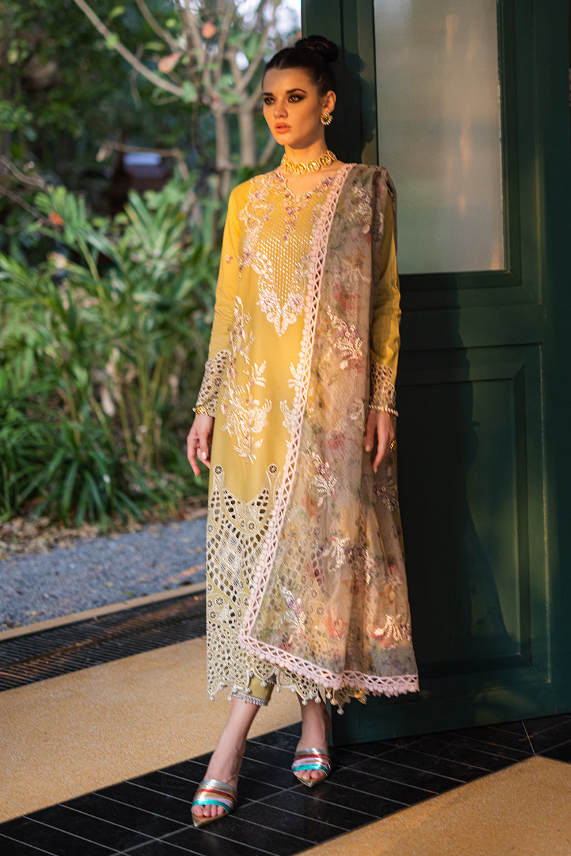Mushq | Orient Express Luxury Lawn | DELICE - House Of Hania