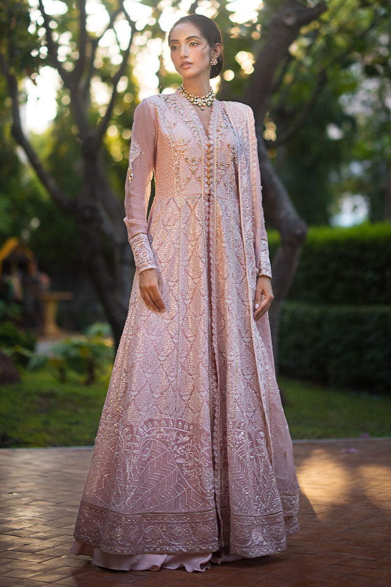 Mushq | Roohi Luxury Collection | AANYA - House Of Hania