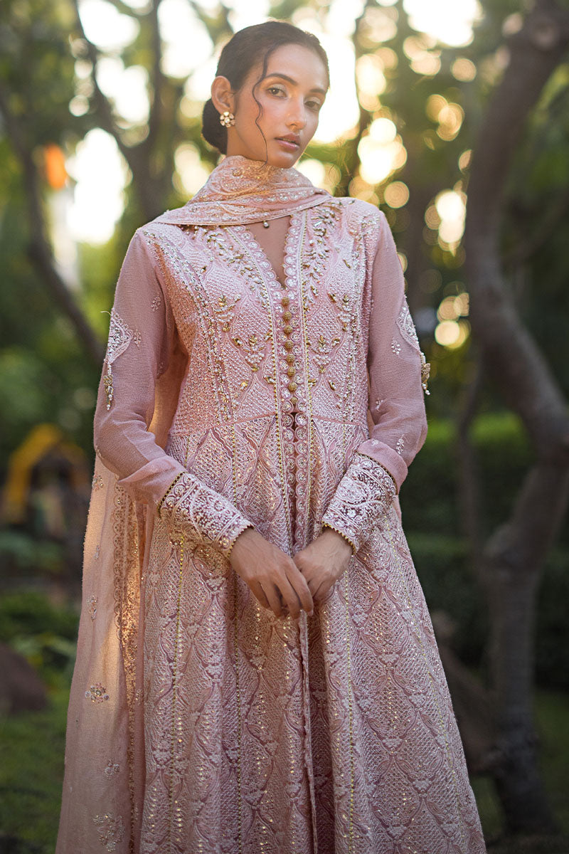 Mushq | Roohi Luxury Collection | AANYA - House Of Hania