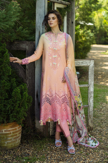 Mushq | Solace Ombre Chikankari | Risate - House Of Hania