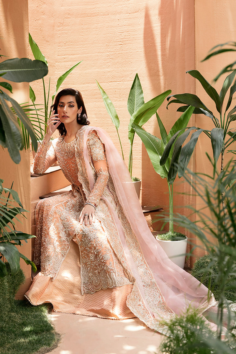 New Mushq-Corallina - House Of Hania