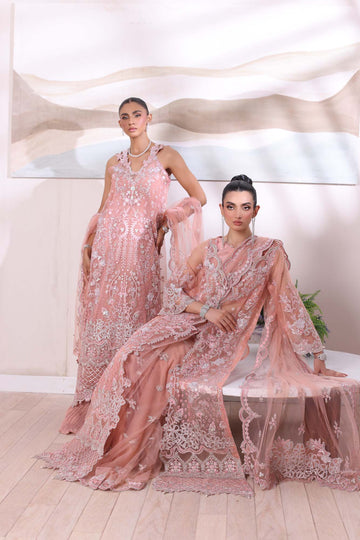 Noor by Saadia Asad | Noor Chiffon De Luxe | D6 - House Of Hania