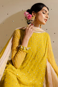 Nureh | Mukeshkari Formals | MK-08 - House Of Hania