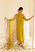 Nureh | Mukeshkari Formals | MK-08 - House Of Hania