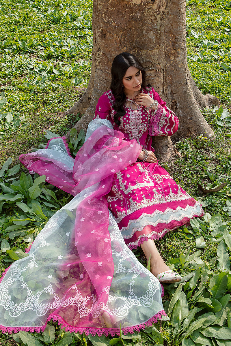QALAMKAR QLINE-AK-13 LARISA-LAWN COLLECTION'23 - House Of Hania