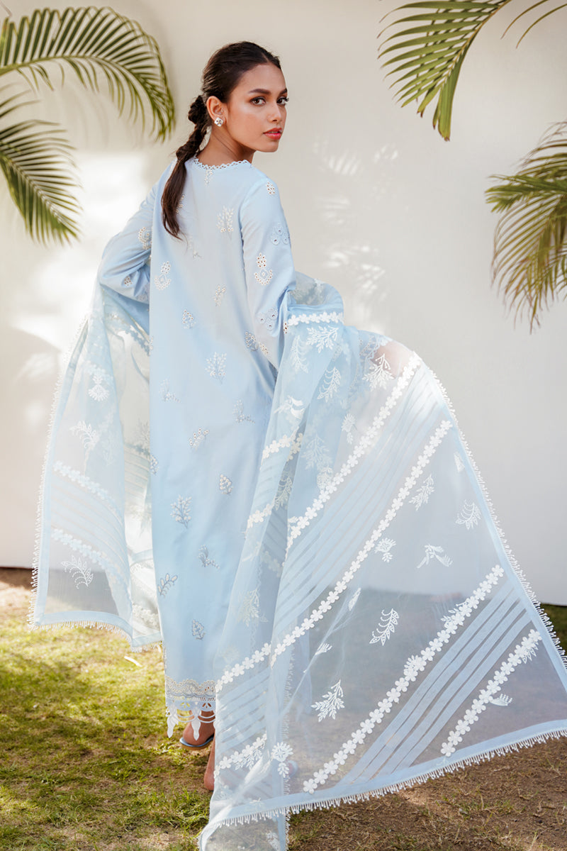 QALAMKAR QLINEKARI-RT-05 KAYA-LAWN COLLECTION'23 - House Of Hania
