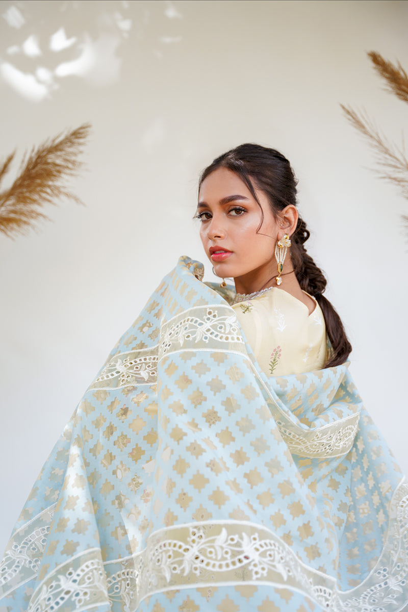 QALAMKAR QLINEKARI-RT-12 RYAN-LAWN COLLECTION'23 - House Of Hania