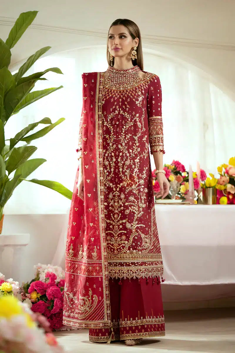 Qalamkar | Dilnaz Wedding Formals | DN-03 ZAINA - House Of Hania