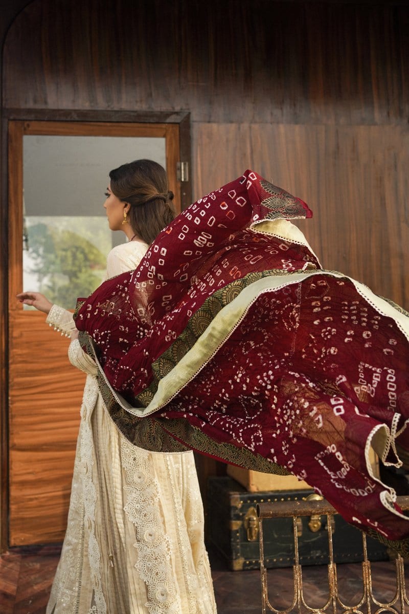 Qalamkar | Luxury Festive Lawn | FX-07 - House Of Hania