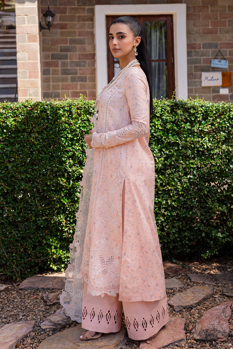 Qalamkar | Q Line Lawn 25 | QM-12 Miso - House Of Hania