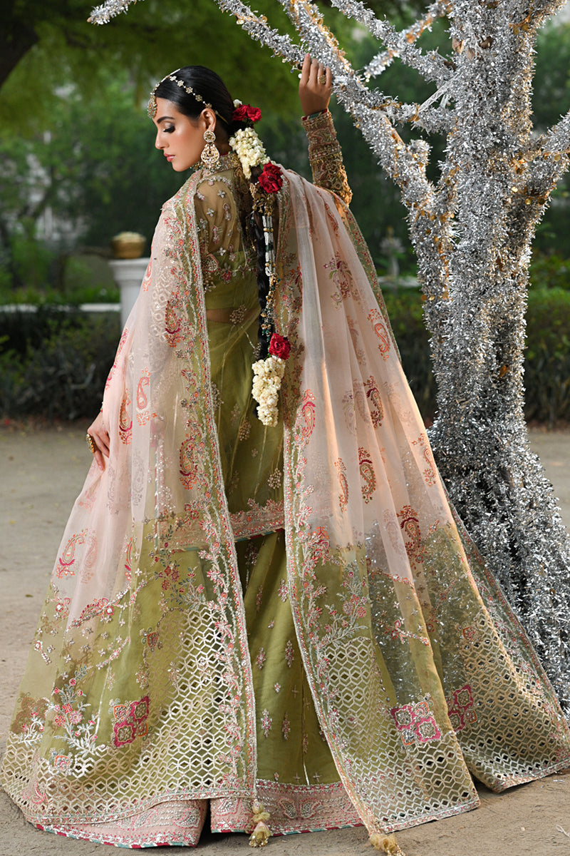 Qalamkar | Singhar Wedding Collection | RF-07 HALENA - House Of Hania