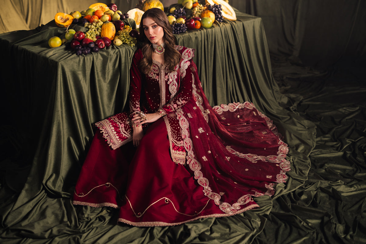 Qalamkar | Velvet Edit | BK-02 AMARA - House Of Hania