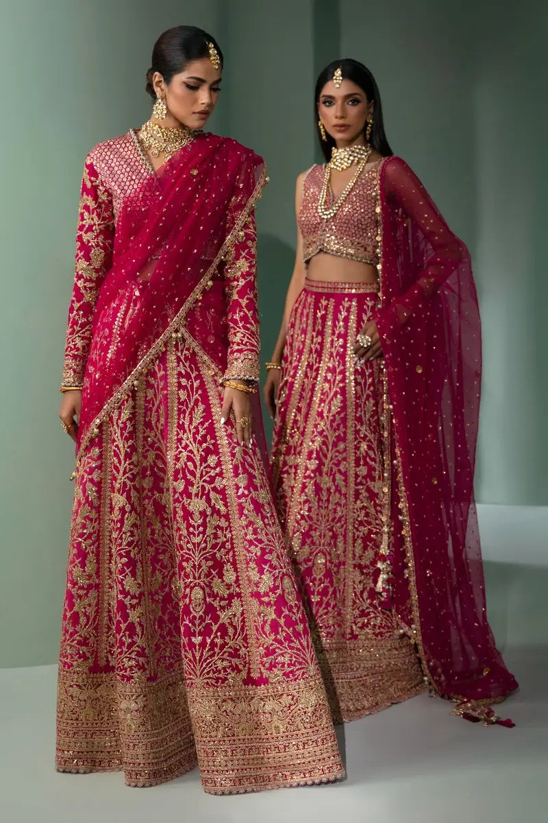 Sana Safinaz | Nura Festive 2023 | N233-004-CT - House Of Hania