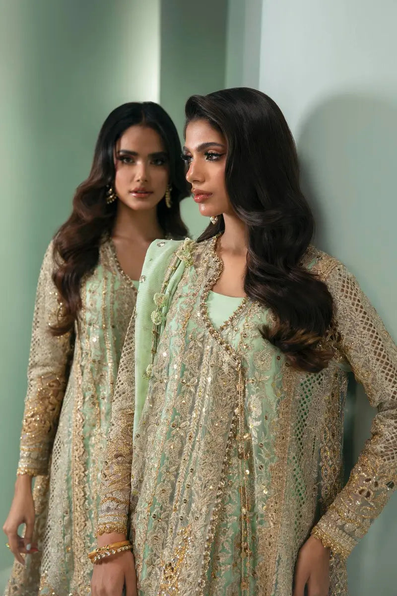 Sana Safinaz | Nura Festive 2023 | N233-007-CV - House Of Hania