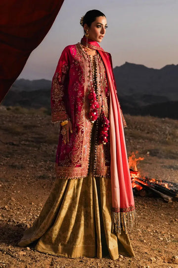 Sana Safinaz | Winter Luxury 23 | V231-004-DE - House Of Hania