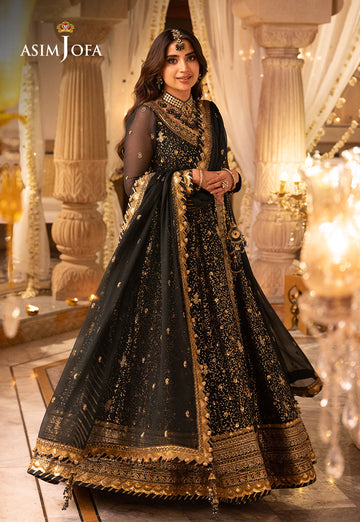 Shehnai by Asim Jofa Embroidered Net 3Pc Suit AJSH-05 - House Of Hania