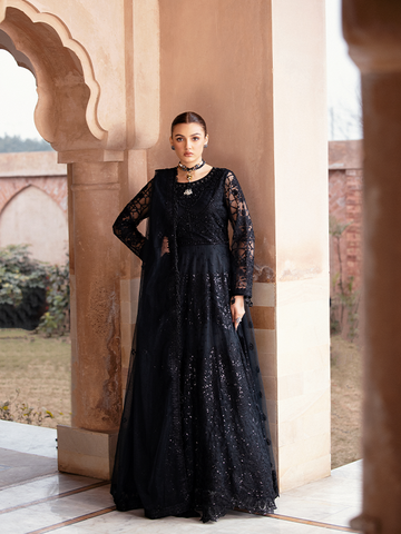 Zebtan | Zeenat Collection Vol 19 | ZN-10 - House Of Hania