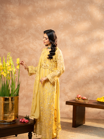 Zebtan | Zeenat Festive Collection | ZN-01 - House Of Hania