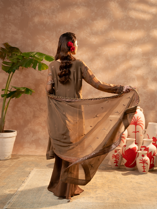 Zebtan | Zeenat Festive Collection | ZN-03 - House Of Hania